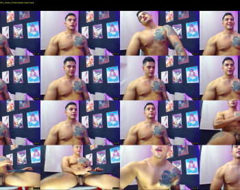 brankosilva