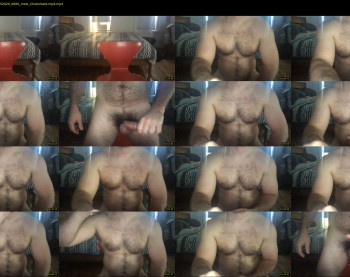 hunghairydaddydick