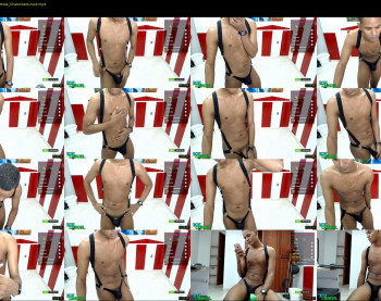 mojoel