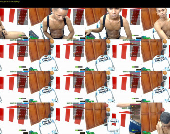 mojoel
