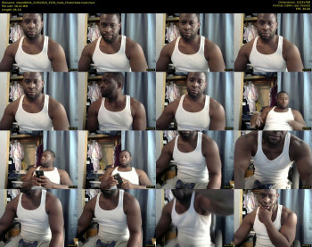 sheed8019