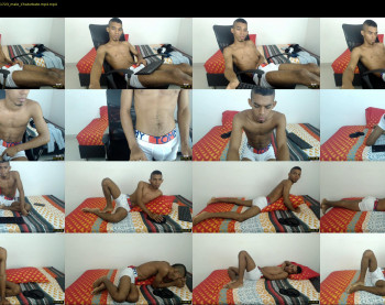 chad_stallion
