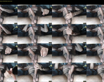 pellux