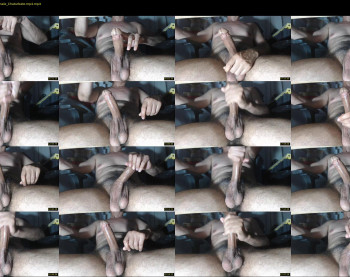 pellux