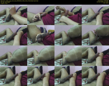 arabic_egy_cock_new