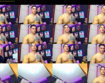brankosilva