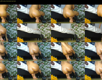 josscollins_ass