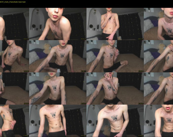 little_prince1