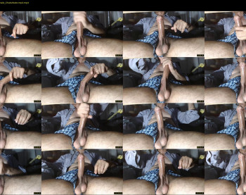pellux