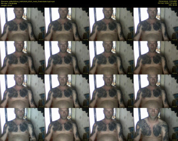 pitbull25rus