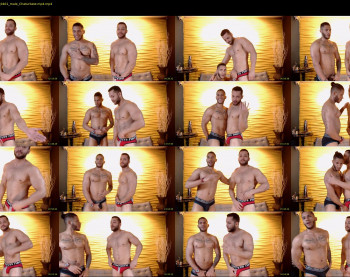 savage_studs
