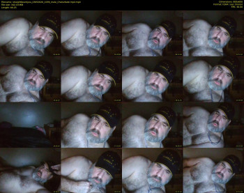 straightbear4you