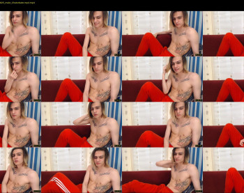 adam_main