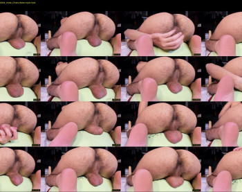 bachabazi22