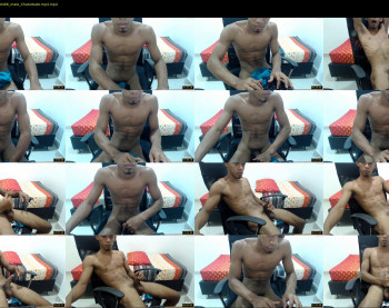 chad_stallion