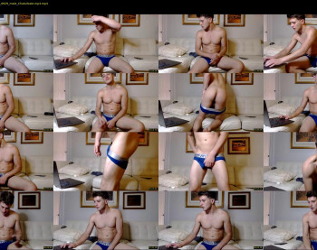mrlincolngrey
