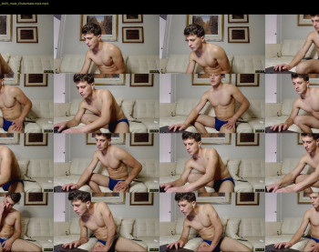 mrlincolngrey
