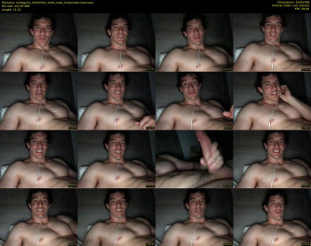 noobgains