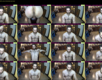 osito_blanco