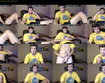 sexual_vibrations
