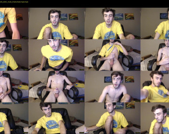 sexual_vibrations