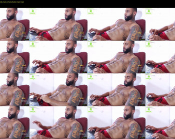 thiago_fox