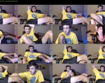 sexual_vibrations