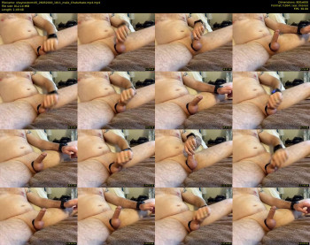 shaynestorm45