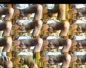 zevio1