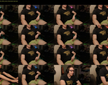 a_beautiful_cock