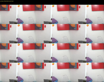 dani_elis