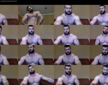 panda_muscle