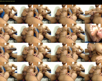 willmenbear