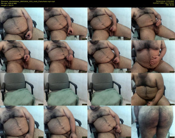 alexlatinbear