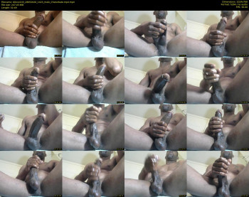 blkcock33