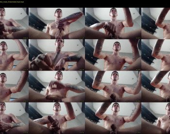 domi_nator