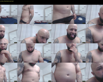 jay_blue_