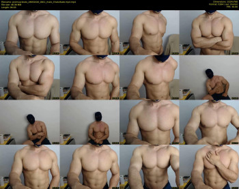 promuscles4u
