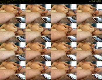 shaynestorm45
