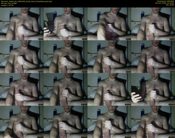 dalfox_94