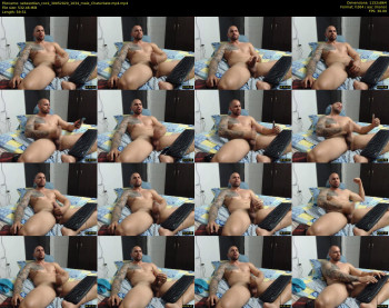 sebassttian_cock