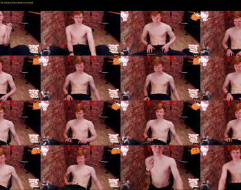 alvin_main