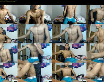 chad_stallion