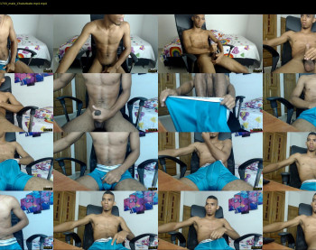 chad_stallion