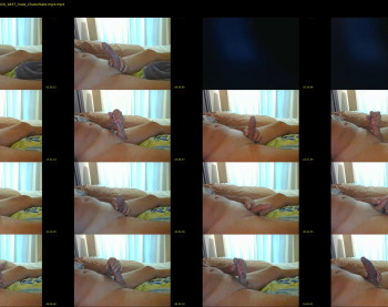 touchme455