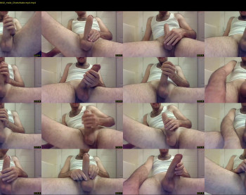 bigdick8inc2
