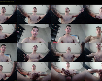 domi_nator