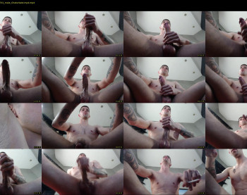 domi_nator