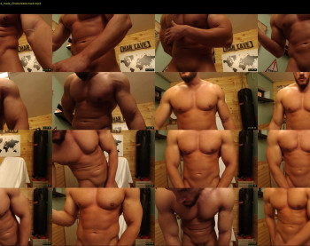 titanhunk