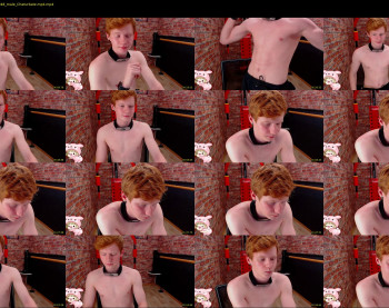 alvin_main